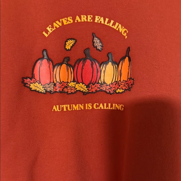 Kittenish Warm Orange Sweatshirt - Picture 3 of 4